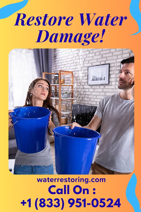 water restoration Coastal Mitigation Group Orangeburg